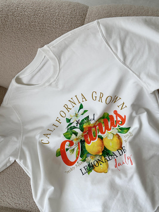 Oversize Citrus